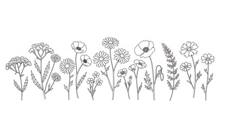 Naklejka premium Elegant line art flowers collection