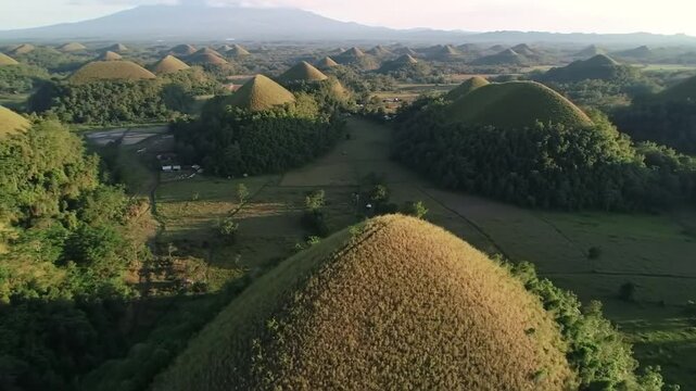Aerial view of chocolate hills in bohol philippines with lush green trees