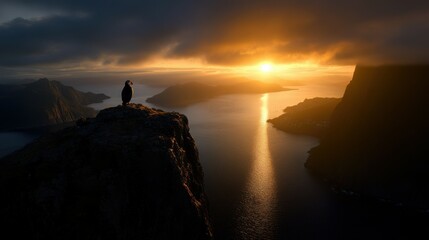 A puffin perched on a rocky cliff overlooking the ocean