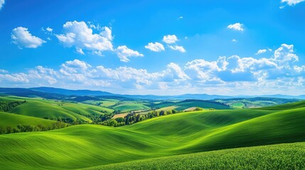 Obraz premium Vast open landscape of smooth rolling green hills under bright daylight, scattered white clouds drift across vibrant blue sky, no visible buildings or objects. Generative by AI