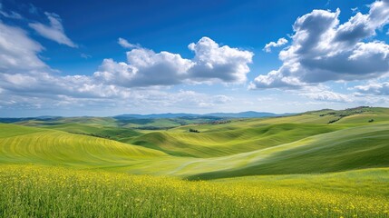 Fototapeta premium Vast open landscape of smooth rolling green hills under bright daylight, scattered white clouds drift across vibrant blue sky, no visible buildings or objects. Generative by AI