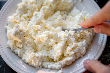 Making the filling for varenyky, mixing the cottage cheese with a fork. Step-by-step photo series...