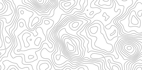 Abstract Topographic Map Lines. Monochrome Terrain Lines Art. Wavy Geographical Contour Lines