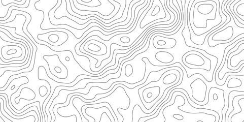 Abstract Topographic Map Lines. Monochrome Terrain Lines Art. Wavy Geographical Contour Lines