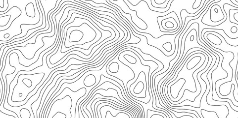 Abstract Topographic Map Lines. Monochrome Terrain Lines Art. Wavy Geographical Contour Lines