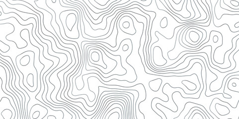Abstract Topographic Map Lines. Monochrome Terrain Lines Art. Wavy Geographical Contour Lines