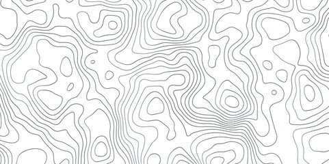 Abstract Topographic Map Lines. Monochrome Terrain Lines Art. Wavy Geographical Contour Lines