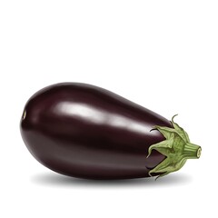 A single ripe eggplant with a green stem lies isolated on a white background casting a shadow