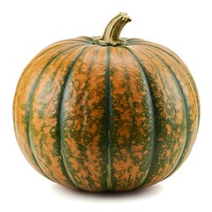 A single pumpkin with orange and green stripes isolated on a white background in a studio setting