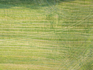 Grüne Wiese mit sichtbaren Spuren von oben fotografiert