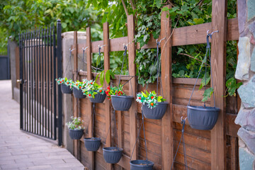 flower pots hanging on a fence in Mtskheta