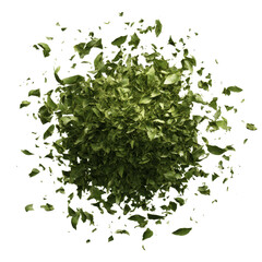 Obraz premium Exploding Cloud of Fresh Green Herbs, Culinary Spices, Leafy Greens, Burst of Flavor