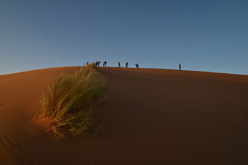 Obraz premium dunes de Merzouga (Maroc)