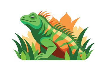 green iguana on a white background