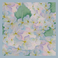 Hortensia watercolor print postcard banner hand drawn art for print, banner