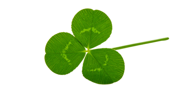 Lucky three-leaf clover - Powered by Adobe