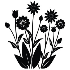 ornamental grass tufts on white