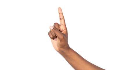 Hand Gesture: Pointing Up