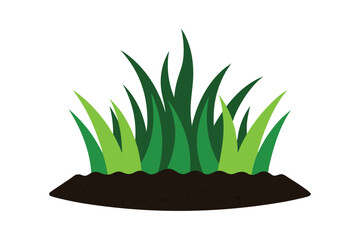 green grass isolated on white