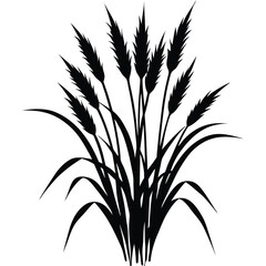 isolated flowerbed with ornamental plants