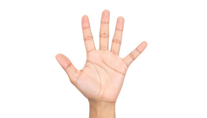 Open hand, five fingers