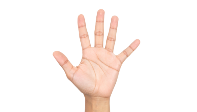 Open hand, five fingers