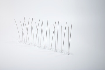 Stainless steel pigeon spikes with bent and straight rods attached to clear plastic base on white background. Useful for bird control product manufacturers, pest deterrent suppliers, installers