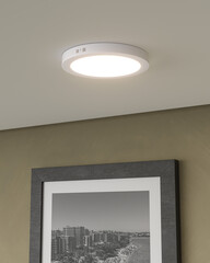 Round Smart LED Surface Mount Ceiling Light in 3D render