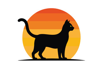 black cat on a white background