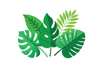 green leaves isolated on white