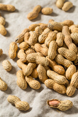 Raw Organic Unpeeled Peanuts in the Shell