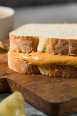 Homemade American Peanut Butter Sandwich