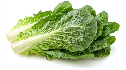 Fresh romaine lettuce isolated on a white background food photography minimalist environment close-up view for culinary inspiration