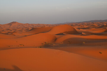 dunes de Merzouga (Maroc)