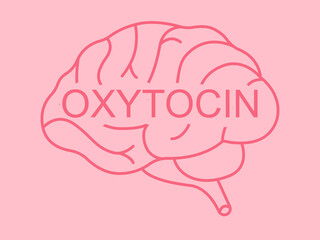 Oxytocin hormone, peptide molecule, structure, and chemistry. A key component of the endocrine