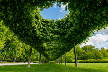 Sustain green environment. Eco friendly modern city. Green Energy Expo. Renewable Energy Global Summit. International Green Energy Conference. 2025 2