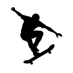 Skateboarder: Thrill of the Skateboard Culture
