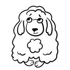 Very fluffy shy cloud-like dog, black outline