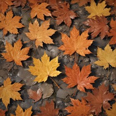 Close-up of fallen maple leaves, showcasing intricate details, fall background, crisp