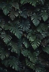 Intricate, dark tropical leaves layered, creating a lush, textured pattern ,  lush green,  overlapping,  plant