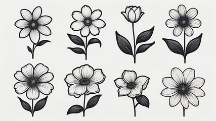 Obraz premium A collection of eight grayscale flower illustrations on a plain white background surface