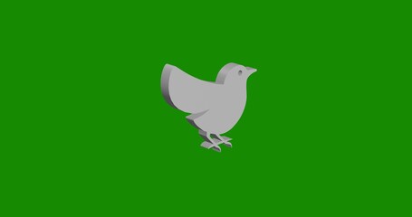 Isolated realistic white bird symbol front view with shadow. 3d illustration on green chroma key background