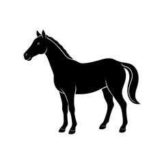 black horse silhouette vector art