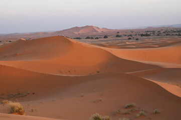 dunes de Merzouga (Maroc)