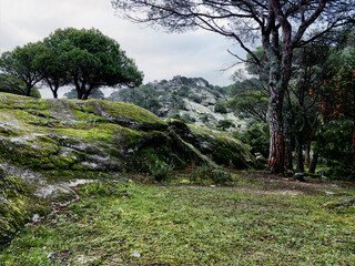 Riscos en Peña Muñana