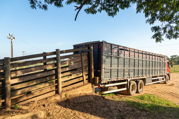 Cowboy truck to transport oxen and cows