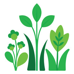 Vector illustration set features natural green leaves isolated on a white background, showcasing a spring floral design element