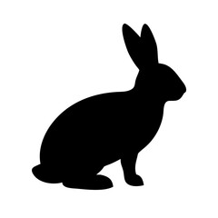 Rabbit: The Charming and Quick-Legged Creature