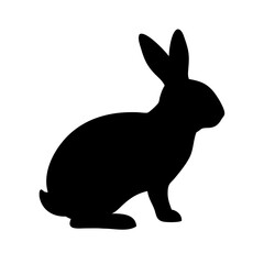 Jumping Rabbit: The Agile and Adorable Hopper