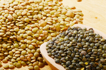 Linse, Erve  Küchen-Linse,  Lens culinaris